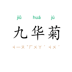 九华菊