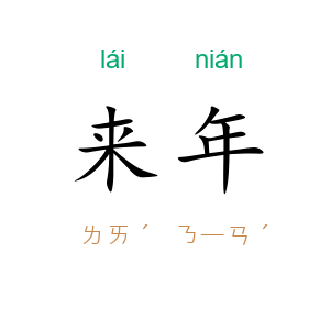 来年