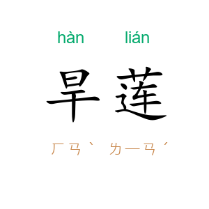 旱莲