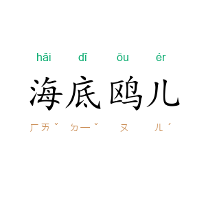 海底鸥儿