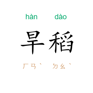 旱稻