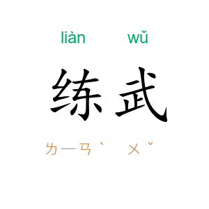 练武