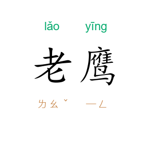 老鹰