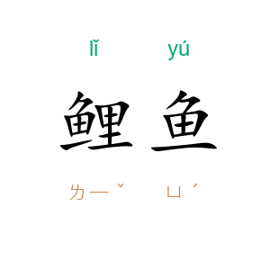 鲤鱼