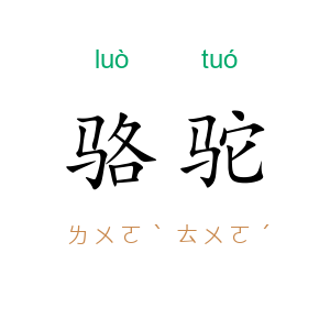骆驼