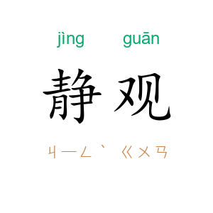 静观