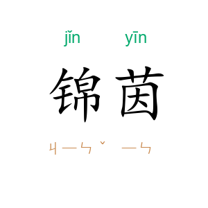 锦茵