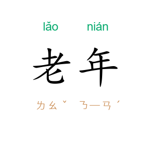 老年