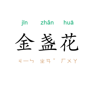 金盏花