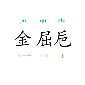 金屈巵