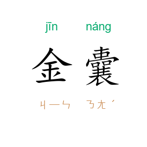 金囊