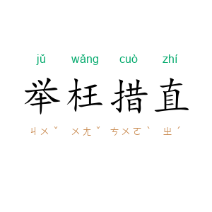 举枉措直