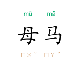 母马