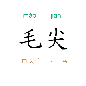 毛尖