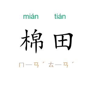 棉田