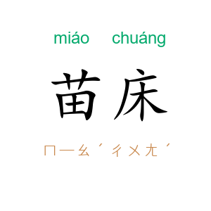 苗床