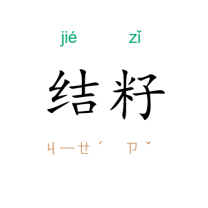 结籽