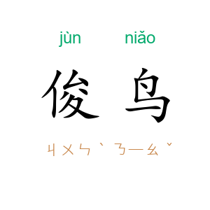 俊鸟
