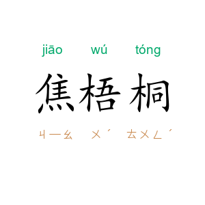 焦梧桐