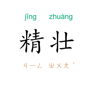精壮