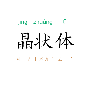 晶状体