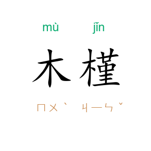 木槿