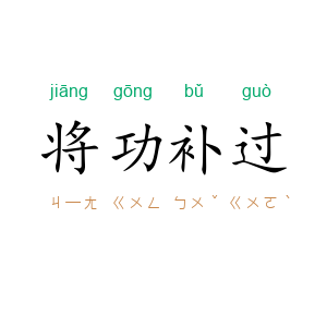 将功补过
