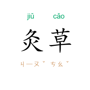 灸草