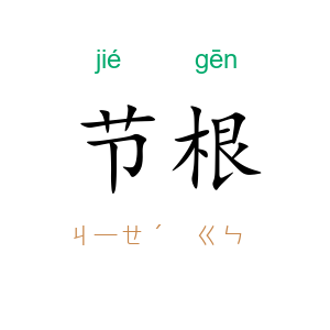 节根