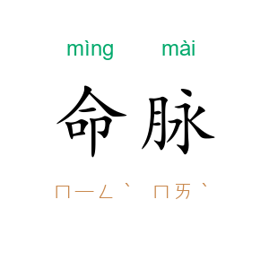 命脉