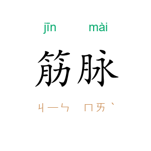 筋脉