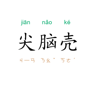 尖脑壳