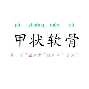 甲状软骨
