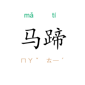 马蹄