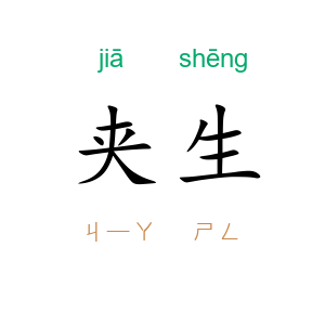 夹生