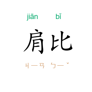 肩比
