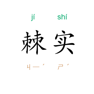 棘实