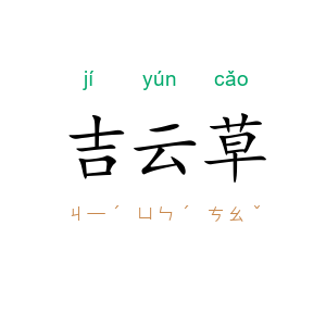 吉云草