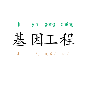 基因工程