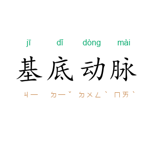 基底动脉