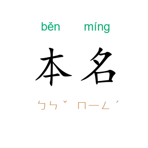 本名