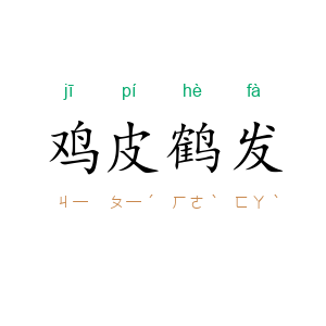 鸡皮鹤发