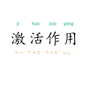 激活作用