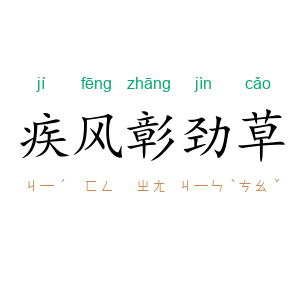 疾风彰劲草