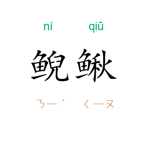 鲵鳅