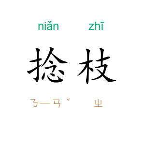 捻枝