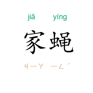 家蝇