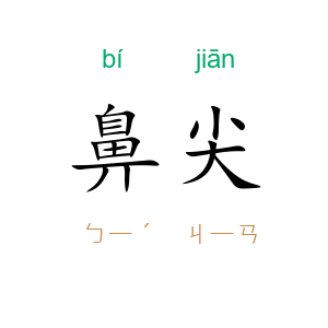 鼻尖