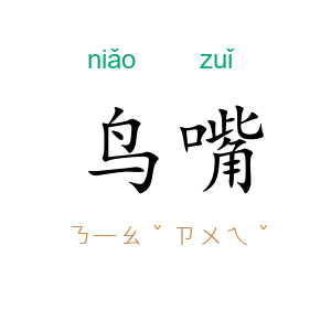 鸟嘴
