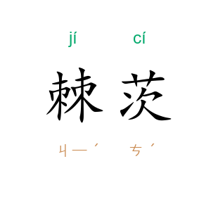 棘茨